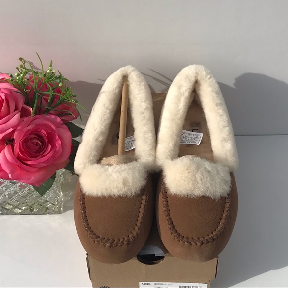 UGG Dakota Spill Seam - Picture 2 of 8